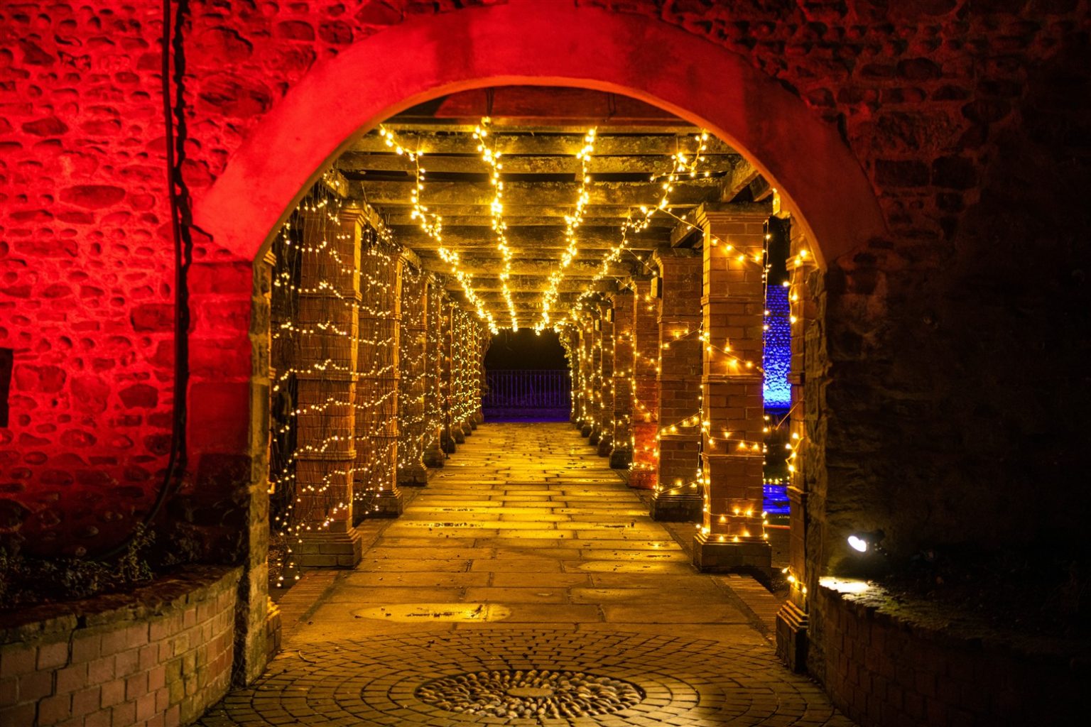 Sidmouth festive lights