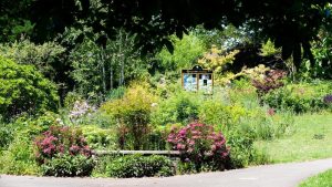 Exeter Rougemont Gardens