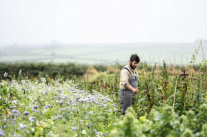 Josh Sparks - gardener