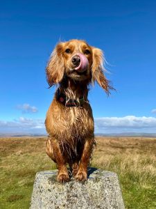 exploring on Dartmoor