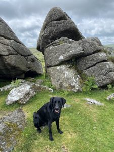 Tor on Dartmoor