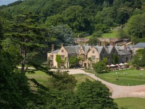 pig at combe - grounds