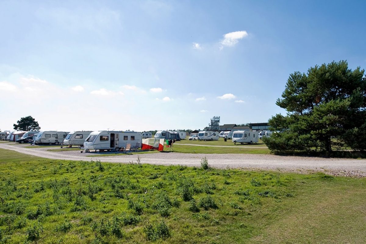 Exeter Racecourse Club Campsite